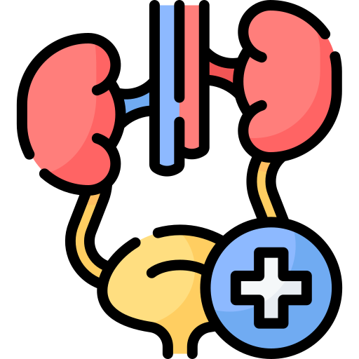 urology (1)